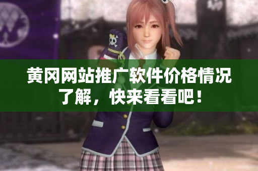 黄冈网站推广软件价格情况了解，快来看看吧！