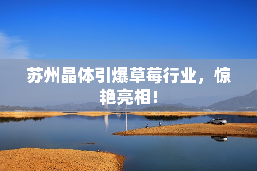 苏州晶体引爆草莓行业，惊艳亮相！