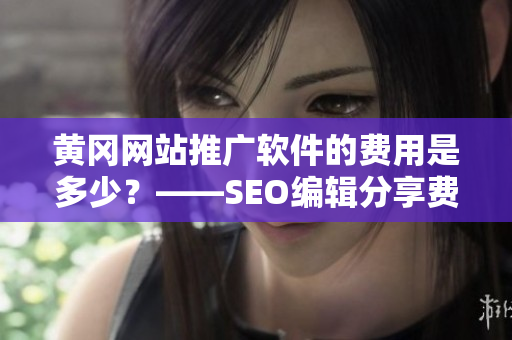 黄冈网站推广软件的费用是多少？——SEO编辑分享费用问题！