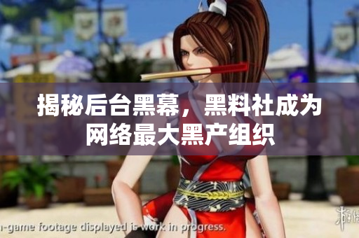 揭秘后台黑幕，黑料社成为网络最大黑产组织