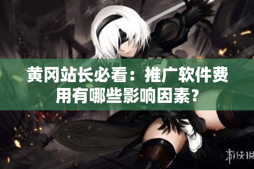 黄冈站长必看：推广软件费用有哪些影响因素？