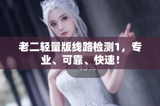 老二轻量版线路检测1，专业、可靠、快速！