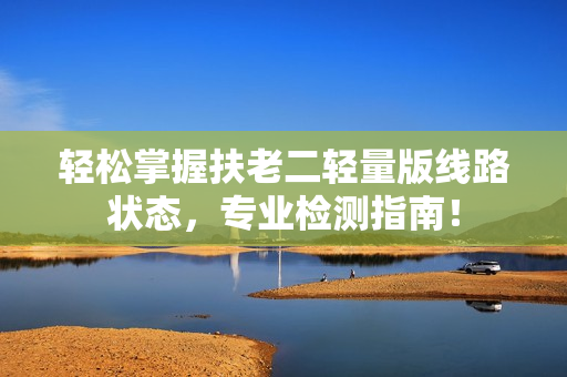 轻松掌握扶老二轻量版线路状态，专业检测指南！