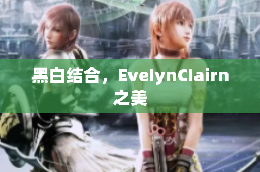黑白结合，EveIynCIairn之美