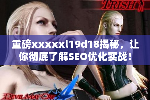 重磅xxxxxl19d18揭秘，让你彻底了解SEO优化实战！