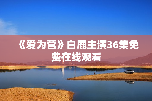 《爱为营》白鹿主演36集免费在线观看