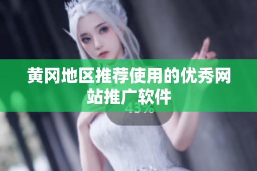 黄冈地区推荐使用的优秀网站推广软件