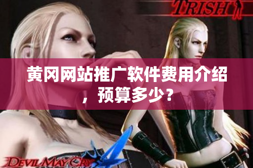 黄冈网站推广软件费用介绍，预算多少？