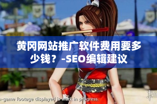 黄冈网站推广软件费用要多少钱？-SEO编辑建议