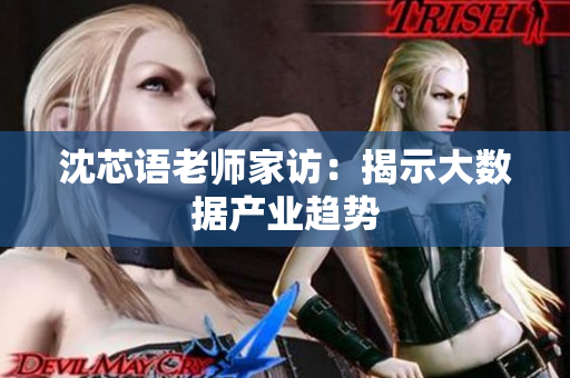 沈芯语老师家访：揭示大数据产业趋势