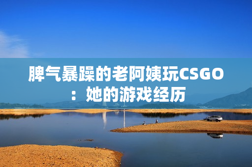 脾气暴躁的老阿姨玩CSGO：她的游戏经历