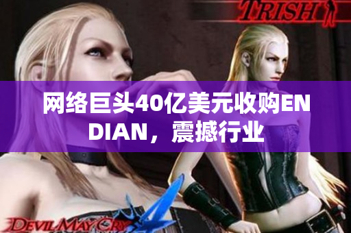 网络巨头40亿美元收购ENDIAN，震撼行业