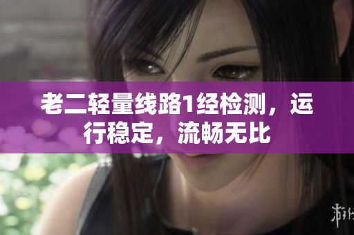 老二轻量线路1经检测，运行稳定，流畅无比