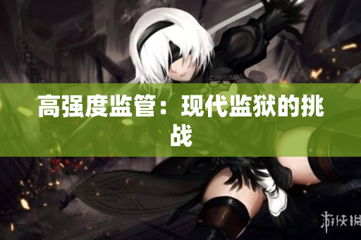 高强度监管：现代监狱的挑战