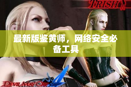 最新版鉴黄师，网络安全必备工具