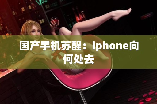 国产手机苏醒：iphone向何处去