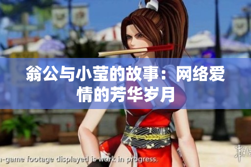 翁公与小莹的故事：网络爱情的芳华岁月