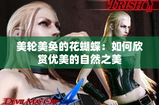 美轮美奂的花蝴蝶：如何欣赏优美的自然之美