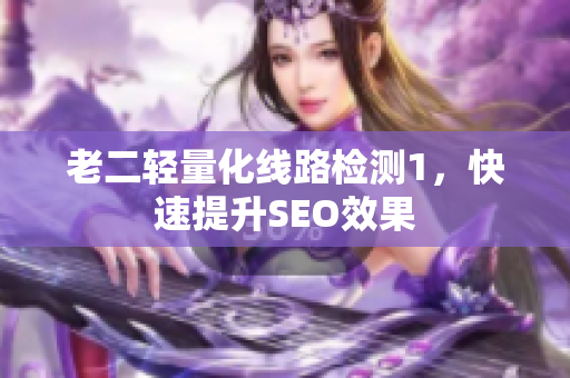 老二轻量化线路检测1，快速提升SEO效果