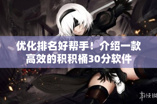 优化排名好帮手！介绍一款高效的积积桶30分软件