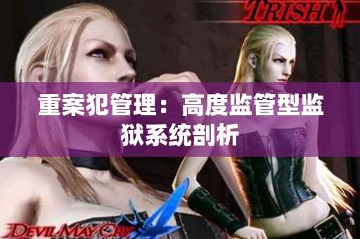 重案犯管理：高度监管型监狱系统剖析
