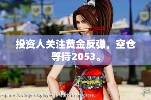 投资人关注黄金反弹，空仓等待2053。
