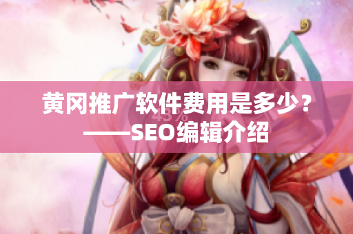 黄冈推广软件费用是多少？——SEO编辑介绍