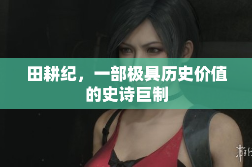 田耕纪，一部极具历史价值的史诗巨制