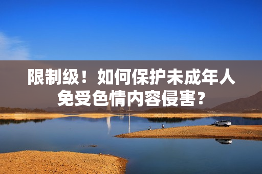 限制级！如何保护未成年人免受色情内容侵害？