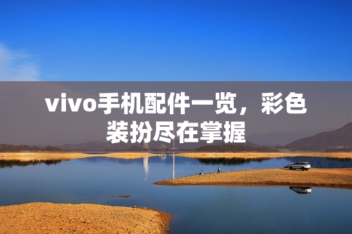 vivo手机配件一览，彩色装扮尽在掌握