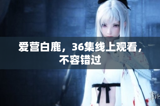 爱营白鹿，36集线上观看，不容错过