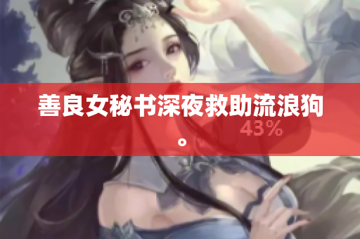 善良女秘书深夜救助流浪狗。