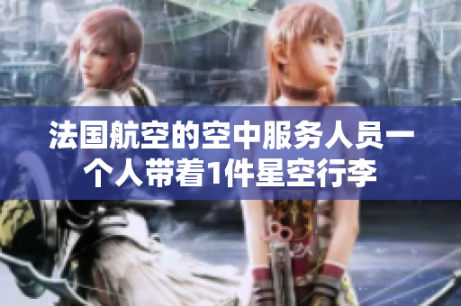 法国航空的空中服务人员一个人带着1件星空行李