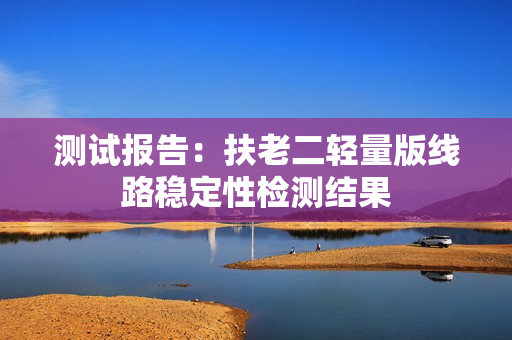 测试报告：扶老二轻量版线路稳定性检测结果