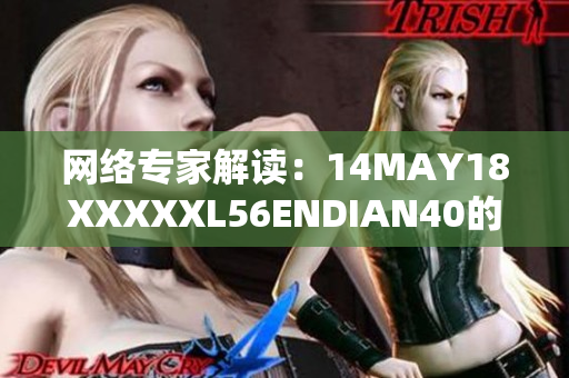 网络专家解读：14MAY18XXXXXL56ENDIAN40的重要性