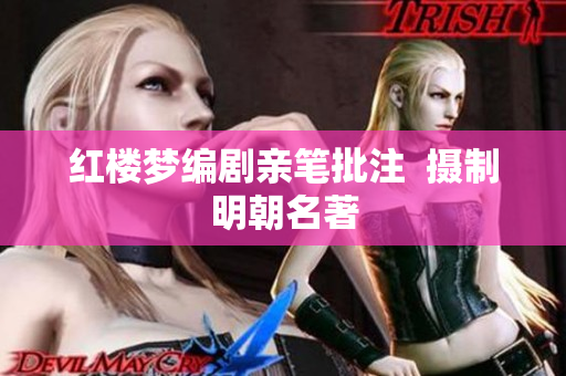 红楼梦编剧亲笔批注  摄制明朝名著