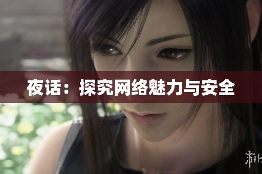 夜话：探究网络魅力与安全