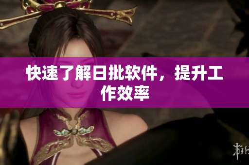 快速了解日批软件，提升工作效率