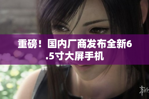 重磅！国内厂商发布全新6.5寸大屏手机