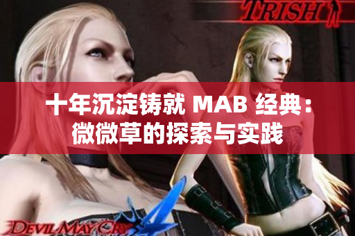 十年沉淀铸就 MAB 经典：微微草的探索与实践