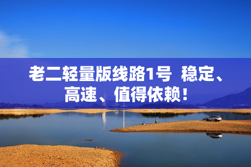 老二轻量版线路1号  稳定、高速、值得依赖！