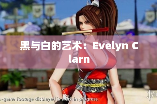 黑与白的艺术：Evelyn Clarn