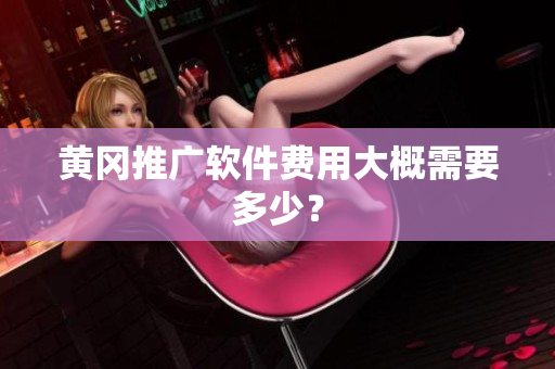 黄冈推广软件费用大概需要多少？