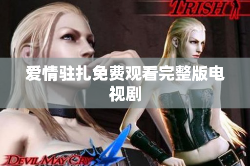 爱情驻扎免费观看完整版电视剧