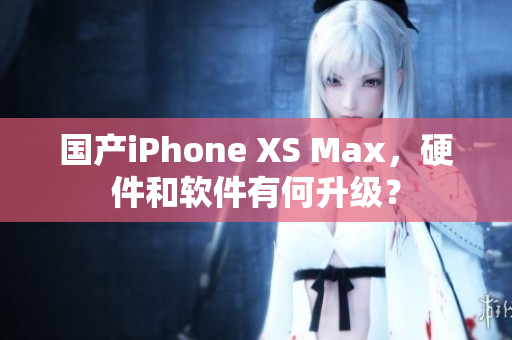 国产iPhone XS Max，硬件和软件有何升级？