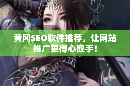 黄冈SEO软件推荐，让网站推广更得心应手！