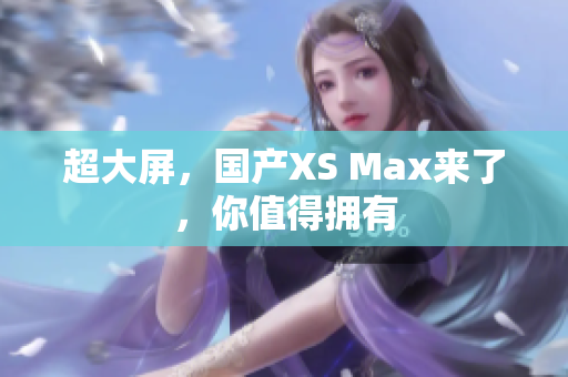 超大屏，国产XS Max来了，你值得拥有