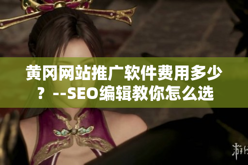 黄冈网站推广软件费用多少？--SEO编辑教你怎么选