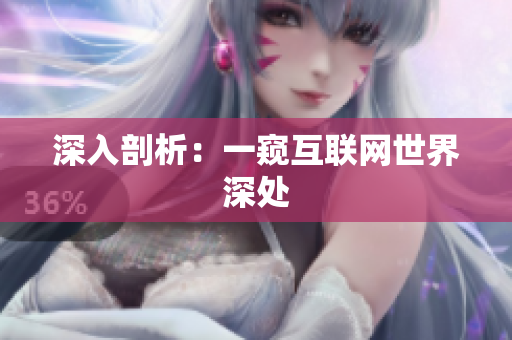 深入剖析：一窥互联网世界深处