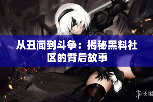 从丑闻到斗争：揭秘黑料社区的背后故事